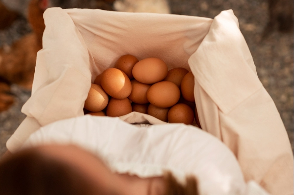 Organic Egg
